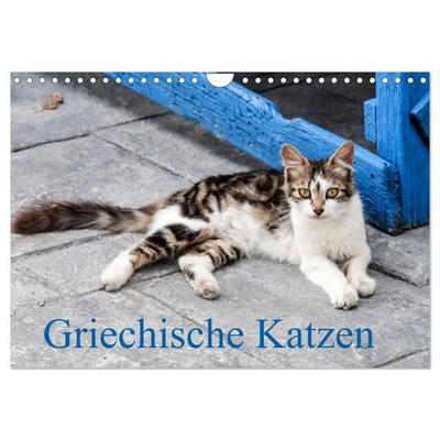Griechische Katzen (Wandkalender 2027 DIN A4 quer), CALVENDO Monatskalender