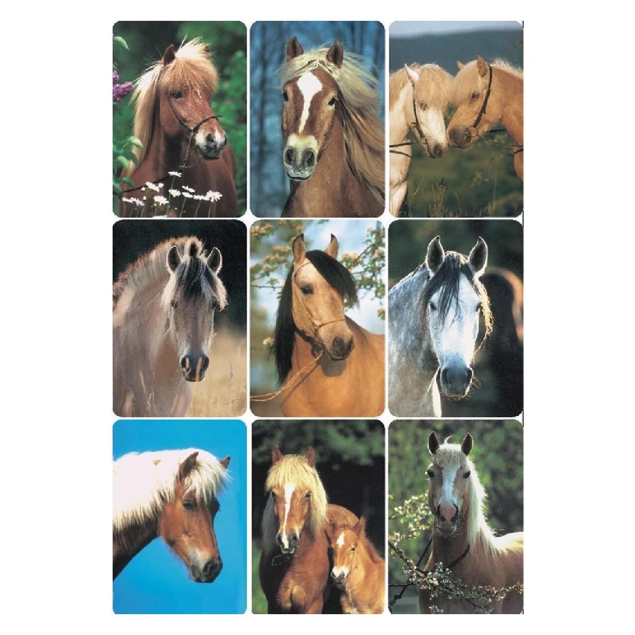 Herma Sticker Pferde (27 Sticker) (3568)