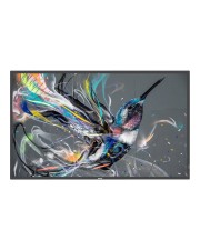 Philips 43BDL3511Q 109 cm 43" Diagonalklasse 108 42.5" sichtbar Q-Line LCD-Display mit LED-Hintergrundbeleuchtung Digital Signage 4K UHD 2160p 3840 x 2160 (43BDL3511Q/00)