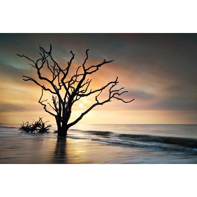 Fototapete PAPERMOON "Baum am Strand", bunt, B:3,5m L:2,6m, Vlies, Tapeten