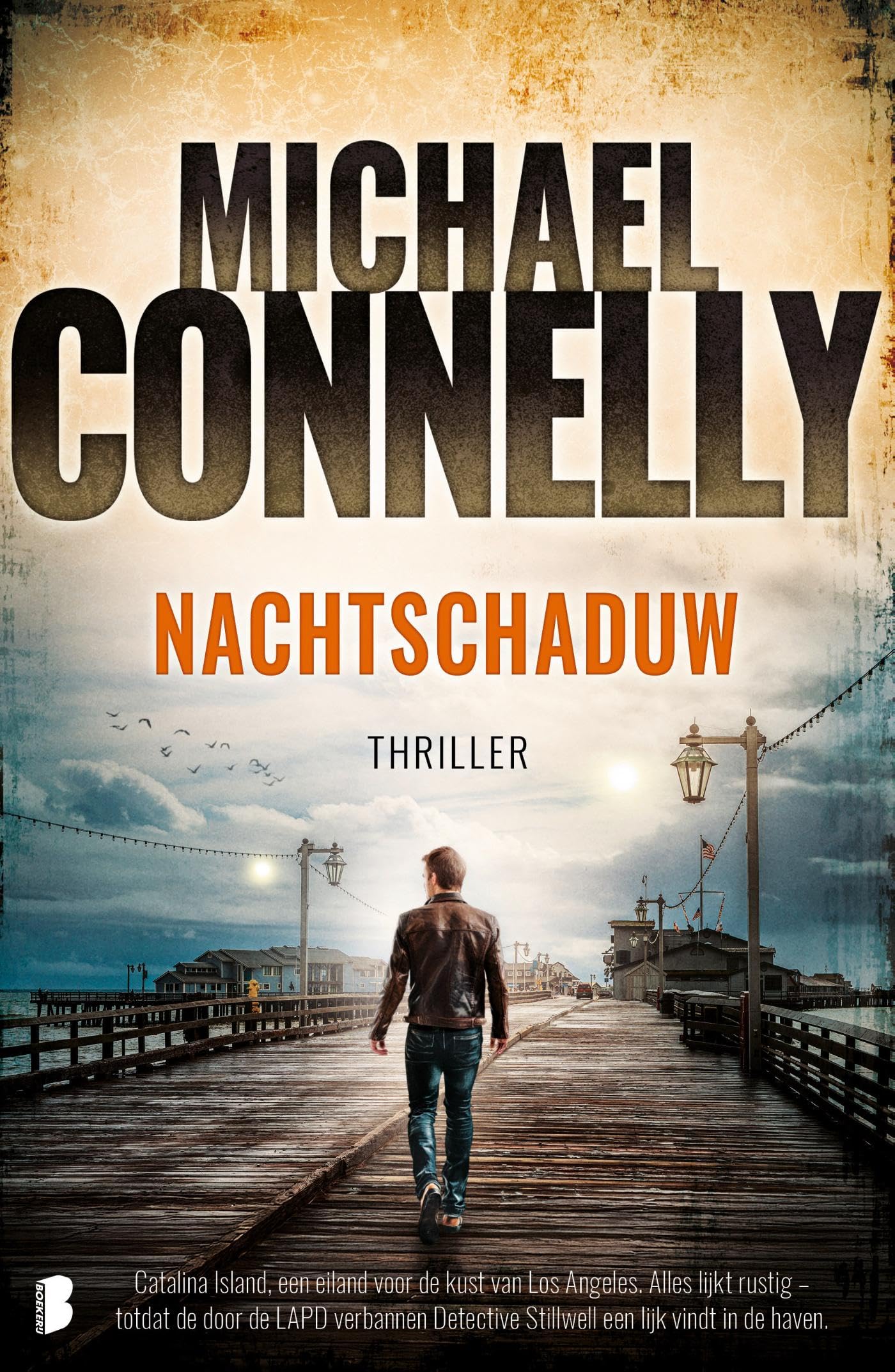 Michael Connelly - Nachtschade: Catalina Island, een eiland voor de kust van Los Angeles. Alles lijkt rustig – totdat de door de LAPD verbannen detective Stillwell een ... in de haven. (Detective Stilwell series, 1) - Preis vom 09.10.2026 07:28:09 h