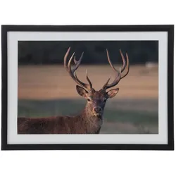Leinwand Gerahmter Hirsch 40x55 cm - Dekoriertes Holzrechteck Amadeus 40x3.6 cm