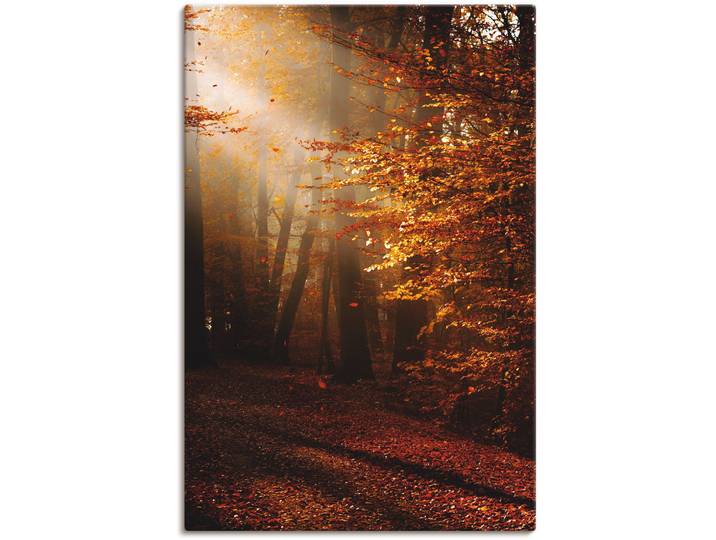Wandbild ARTLAND Sonnenaufgang im Herbst , gold (farbe bild(er): goldfarben), B:60cm H:90cm, Bilder, Wandbild, als Leinwandbild, Poster in verschied. Grössen