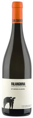 """San Salvatore""" """San Salvatore Falanghina 2025 White Wine - Italy"""