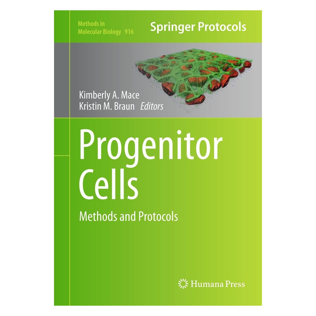 Humana Press Progenitor Cells (Englisch, Hardcover, Kimberly A. Mace, Kristin M. Braun) (9781617799792)