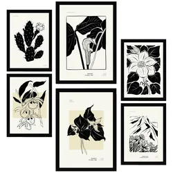 POSTER Set Mit 6 B & W Blumen 2 A3 & A4 Schwarzer Rahmen