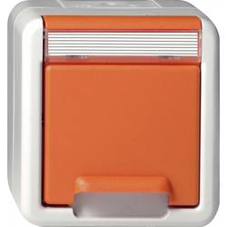 GIRA Schutzkontakt-Steckdose Orange 4440309 1 St.