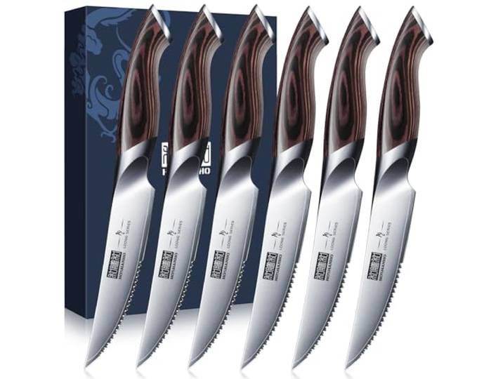 HOSHANHO Steakmesser 6Teilig Set, Hochwertige Edelstahl Küchen Steakbesteck Scharfe Gezahnte Steak Messerset Hochwertiger Edelstahl mit hohem Kohlenstoffgehalt, mit Ergonomischem Griff