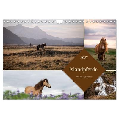 Islandpferde und ihre raue Heimat (Wandkalender 2027 DIN A4 quer), CALVENDO Monatskalender