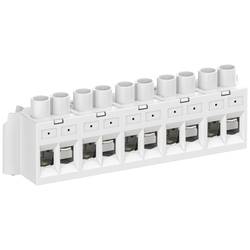 Spelsberg 89641001 Abox 100 KLS-10² Verbindungsklemme flexibel: 2.5-10 mm² starr: 2.5-10 mm² Polzahl: 5 1 St. Single