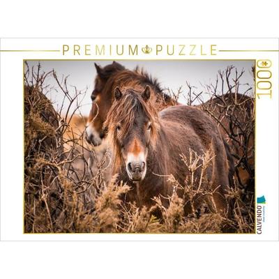 CALVENDO Puzzle Wildes, rauhes Pferdeleben | 1000 Teile Lege-Größe 64x48cm Foto-Puzzle für glückliche Stunden