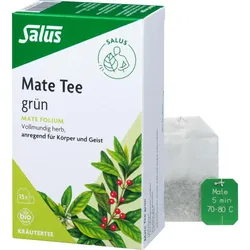 Mate Tee Grün Kräutertee Mate Folium Bio Salus 15 ST