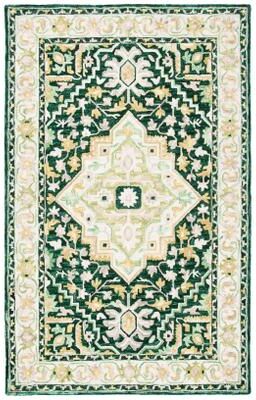 SAFAVIEH Handmade Aspen Constance Boho Wool Rug