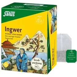 Ingwer Kräuter-gewürztee-mischung Bio Sa 40 St