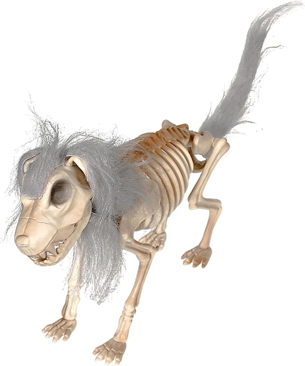 Skelet Hond Figuur met Doodshoofd voor Halloween Decoratie, Meerkleurig, 30 cm breed