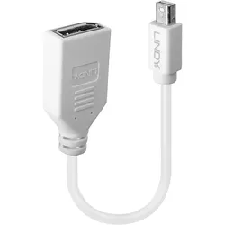 Lindy 41021 DisplayPort-Kabel 0,15 m Mini DisplayPort Weiß