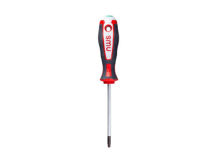 NWS Schraubenzieher Torx T20