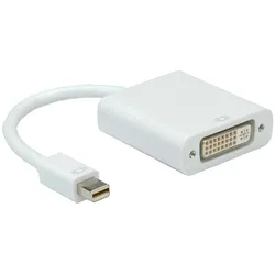 Roline Mini DP zu, Video Adapter, Weiss