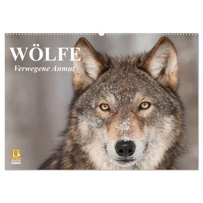 Wölfe. Verwegene Anmut (Wandkalender 2027 DIN A2 quer), CALVENDO Monatskalender