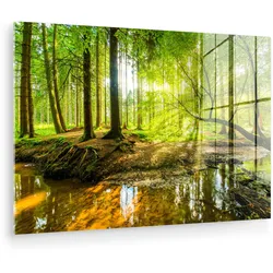 ACRYLGLASBILD Wald - Landschaft - Wasser - Bäume - Sonne - Grün - Natur Wanddeko 60x40 cm