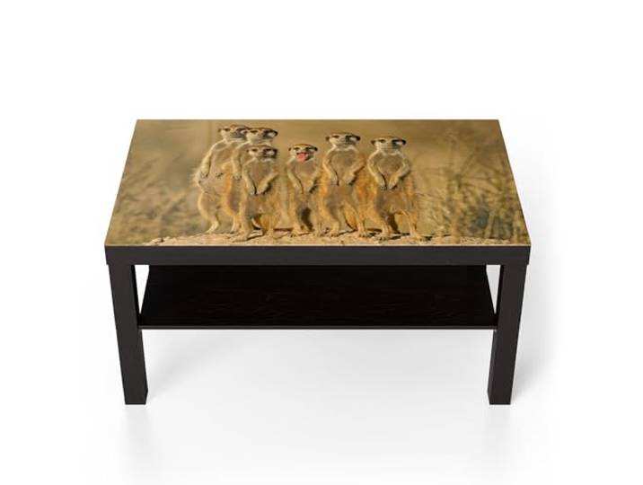DEQORI Glastisch schwarz groß 90x50 cm Motiv Wachsame Freunde ausgefallener Beistelltisch aus Glas Hochglanz Couchtisch fürs Wohnzimmer moderner Couch Tisch mit Design