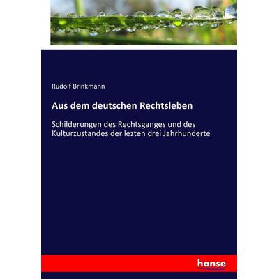 Aus dem deutschen Rechtsleben, Taschenbuch von Rudolf Brinkmann, Hansebooks, 978-3-7434-4584-0