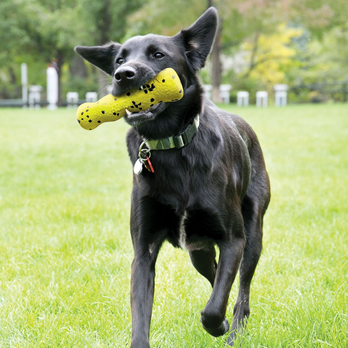 KONG Reflex Stick Gioco per Cane 1PZ