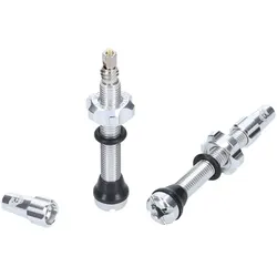 WOLF TOOTH Tubeless Ventile Stem Kit | silber 60 mm