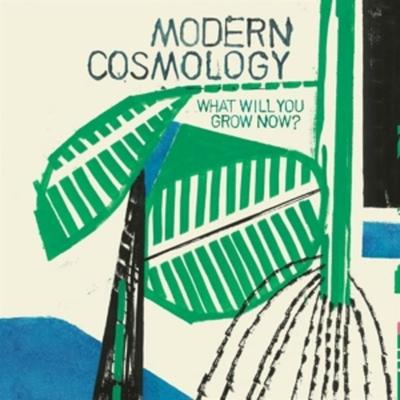 What Will You Grow Now? - Modern Cosmology, Vinyl