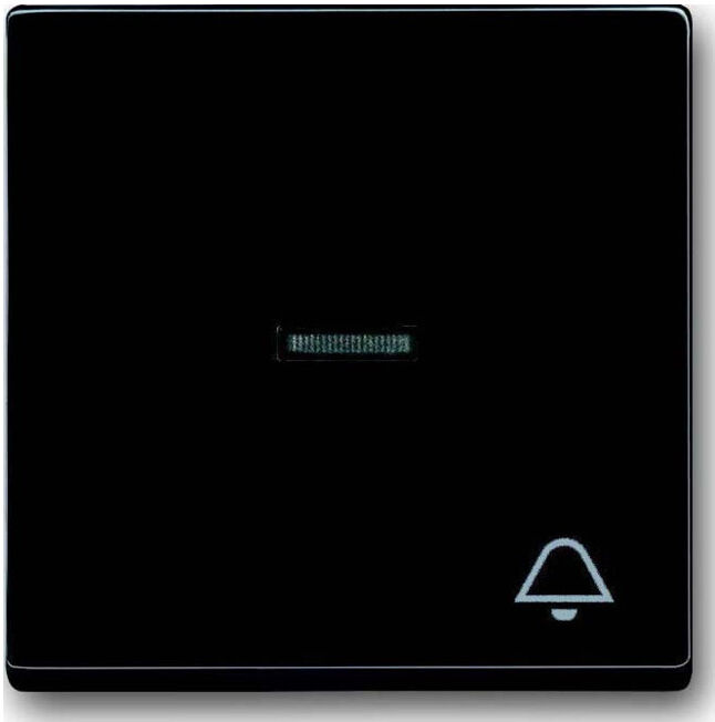 Busch-Jaeger Interrupteur anthracite avec symbole sonnette 1789 KI-81 (2CKA001751A2932)