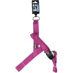 Duvoplus Chest Fashion (XL, Hund, Allgemein, Spazieren), Halsband + Leine