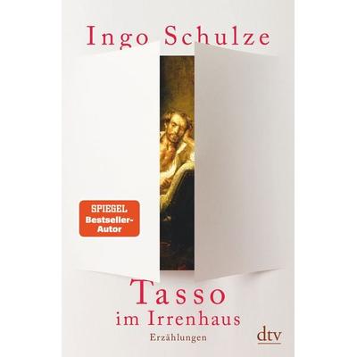 Tasso im Irrenhaus, Gebundene Ausgabe von Ingo Schulze, dtv
