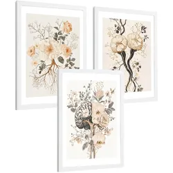 POSTER Set aus 3 Neuronale Anatomie Drucke und Wandbilder mit Neuronen Synapsen und Gehirn Minimalistischer Floraler Stil Größe Weißer Rahmen A4