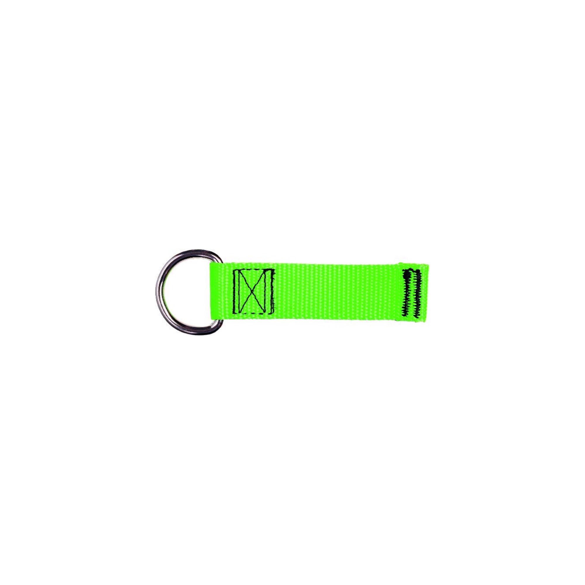 NLG Haltering D Ring groß Haltekraft 3kg, 100x25mm ; Nord-Lock (101362)