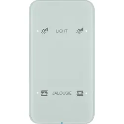Berker Touch-Sensor 2-fach Glas polarweiß 75142160