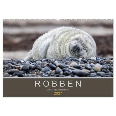 Robben auf der Helgoländer Düne (Wandkalender 2027 DIN A2 quer), CALVENDO Monatskalender