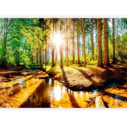Fototapete Braun/Grün ca. 200x140cm