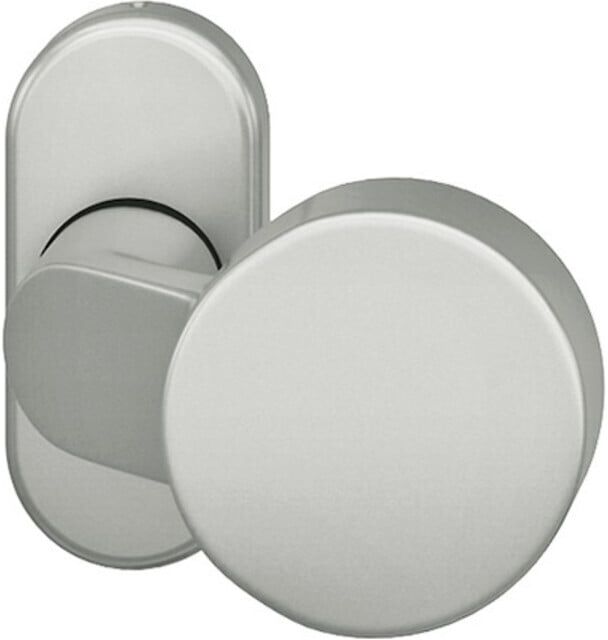 FSB PT-Türknopf, 07 0809, a.Ros.oval, Alu F1 (0 07 0809 22801 0105)