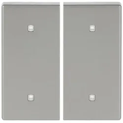Busch-Jaeger Wippe 2-fach 2570-20-866