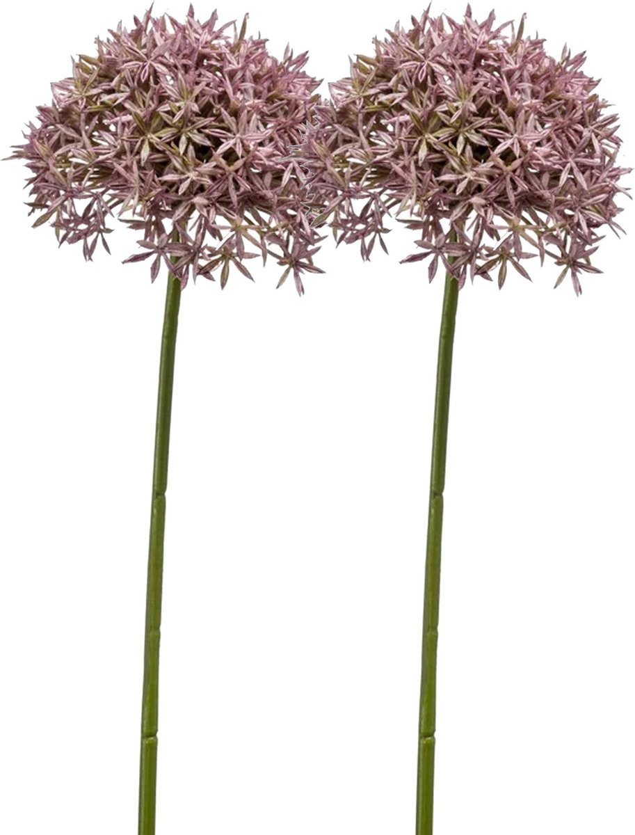 Emerald Allium Sierui kunstbloem lila 2x 62 cm