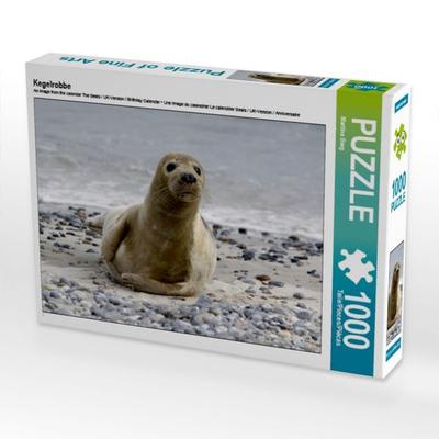 CALVENDO Puzzle Kegelrobbe | 1000 Teile Lege-Größe 64x48cm Foto-Puzzle für glückliche Stunden