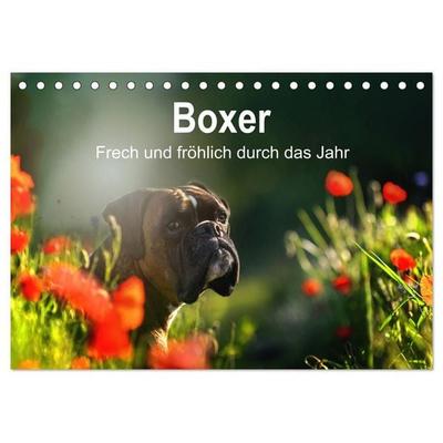 Boxer Frech und fröhlich durch das Jahr (Tischkalender 2027 DIN A5 quer), CALVENDO Monatskalender