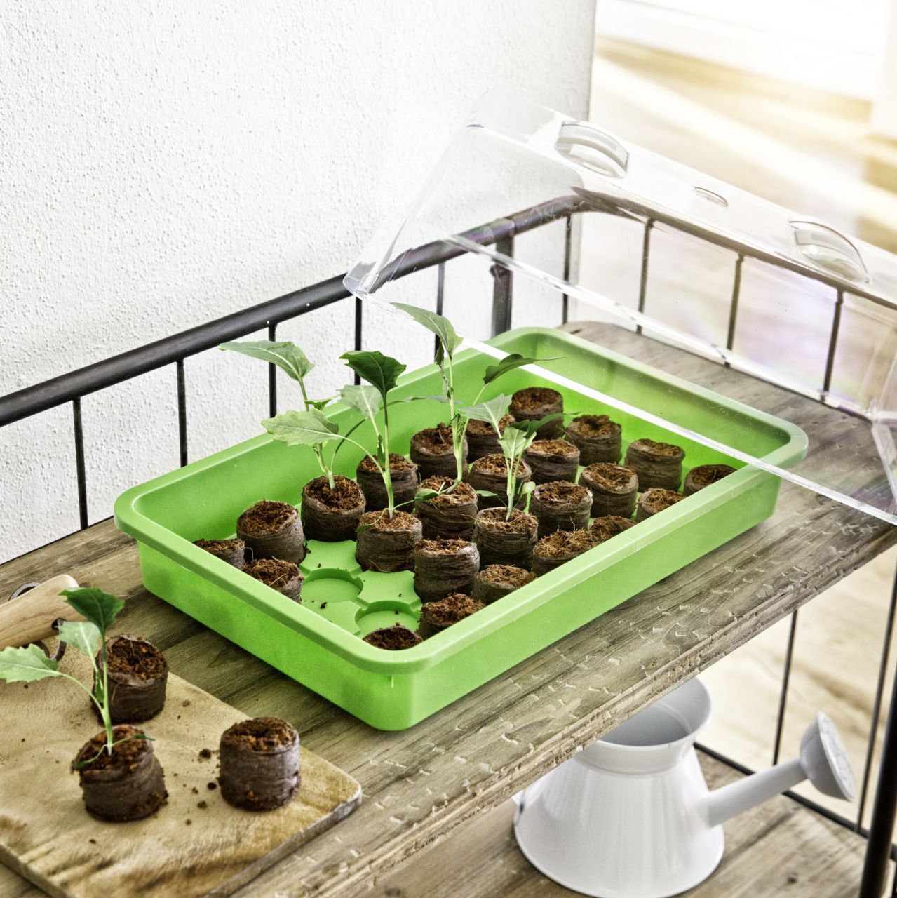 Windhager Aussaat-Schale 38 x 24 x 6 cm, grün