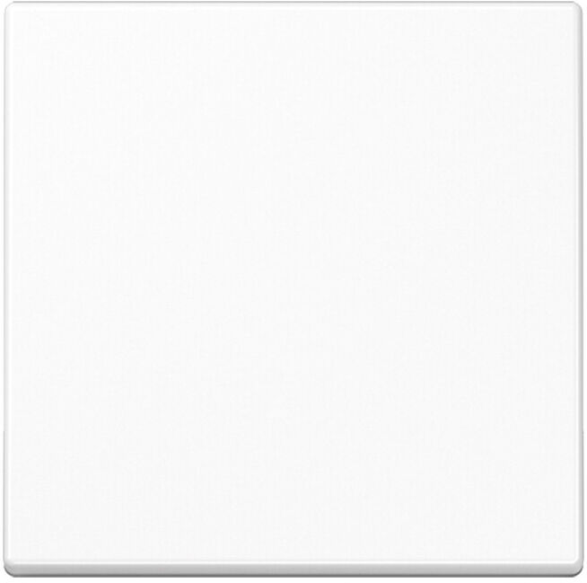 Jung Wippe aws pour bouton-poussoir A 590 WW (A590WW)