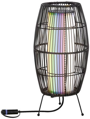 Paulmann 94754 Beleuchtungssystem Plug & Shine LED-Dekoleuchte LED 3.2W Warmweiß Schwarz