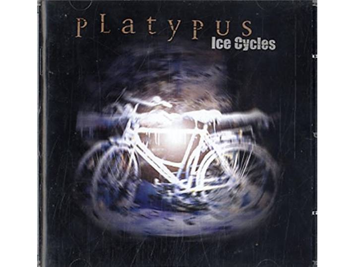 Ice Cycles