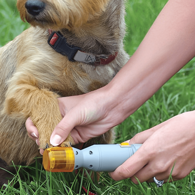 PetsAreLife Portable Nail Grinder For Your Cat & Dog   Hassle Free Painless Dog Nail Clipper   Battery Powered Pet Nail Trimmer Portable Nail Grinder For Your Cat & Dog   Hassle Free Painless Dog Nail Clipper   Battery Powered Pet Nail Trimmer