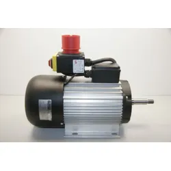 Holzkraft Motor BKS 500 / 400V 56460145 / 4,2kW
