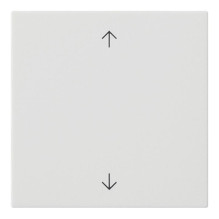 Gira Bedienaufsatz rws Pfeilsymbole 536127)