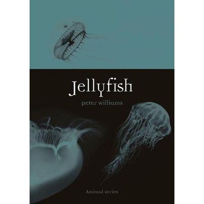 Jellyfish, Taschenbuch von Peter Williams, Reaktion Books, 978-1-78914-215-0